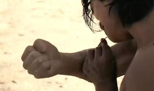 力王完整版在线观看,巅峰对决，在线观看，热血沸腾的武术传奇  第3张